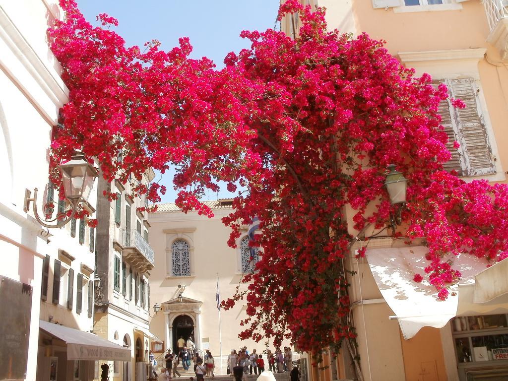 Oniro Villas Corfu Island Luaran gambar